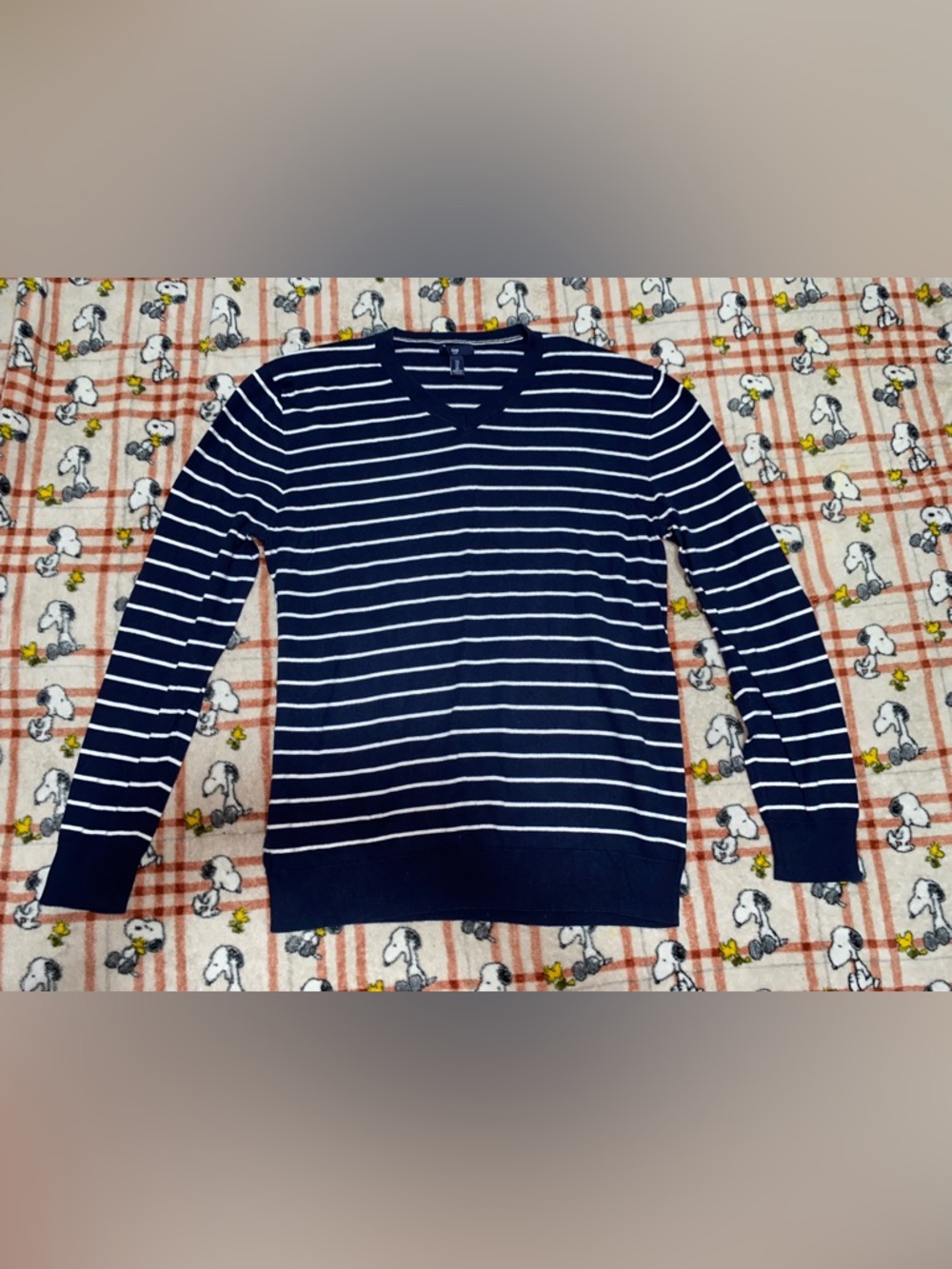GAP Navy Blue and White Striped V-Neck Sweater
